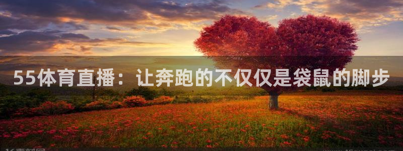 鲸鱼体育免费观看高清：55体育直播：让奔跑的不仅仅是袋鼠的脚步