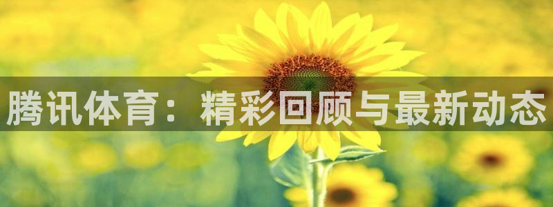 鲸鱼体育免费观看高清：腾讯体育：精彩回顾与最新动态