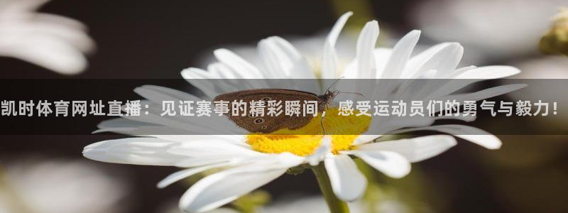 鲸鱼直播：凯时体育网址直播：见证赛事的精彩瞬间，感受运动员们的勇气与毅力！