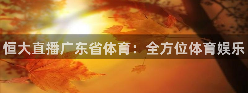 鲸鱼体育免费观看官网：恒大直播广东省体育：全方位体育娱乐