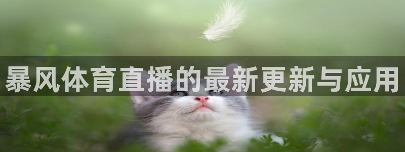 鲸鱼体育tv直播：暴风体育直播的最新更新与应用