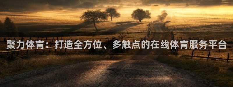 鲸鱼体育：聚力体育：打造全方位、多触点的在线体育服务平台