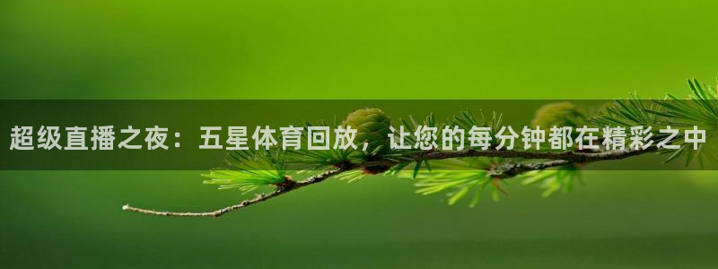 cc67tv鲸鱼体育：超级直播之夜：五星体育回放，让您的每分钟都在精彩之中