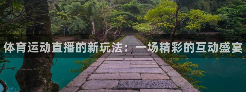 鲸鱼体育下载官方正版：体育运动直播的新玩法：一场精彩的互动盛宴