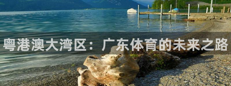 鲸鱼直播官网：粤港澳大湾区：广东体育的未来之路