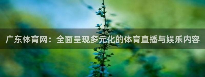 足球鲸鱼直播：广东体育网：全面呈现多元化的体育直播与娱乐内容