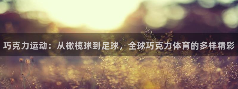 鲸鱼体育app下载安装最新版：巧克力运动：从橄榄球到足球，全球巧克力体育的多样精彩
