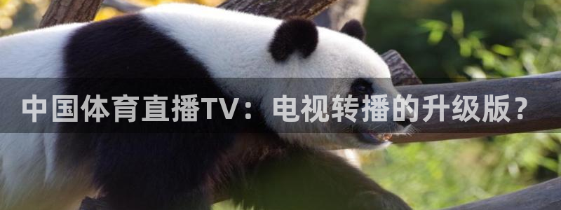 鲸鱼体育网址：中国体育直播TV：电视转播的升级版？