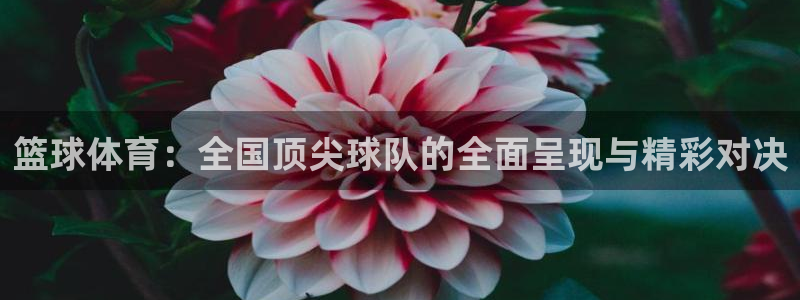 鲸鱼体育免费观看高清：篮球体育：全国顶尖球队的全面呈现与精彩对决