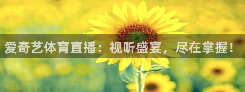 鲸鱼体育比赛直播：爱奇艺体育直播：视听盛宴，尽在掌握！
