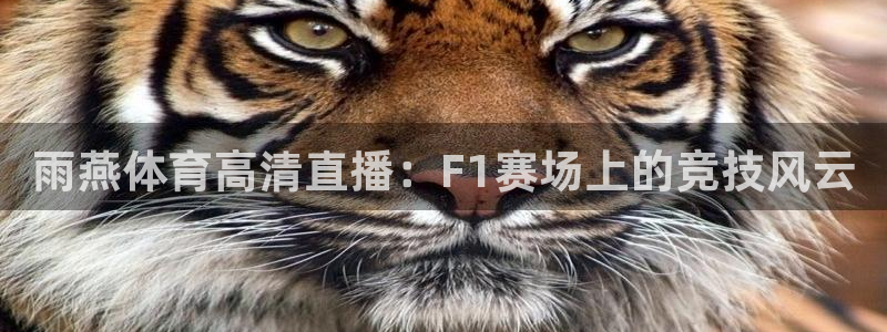 鲸鱼直播：雨燕体育高清直播：F1赛场上的竞技风云