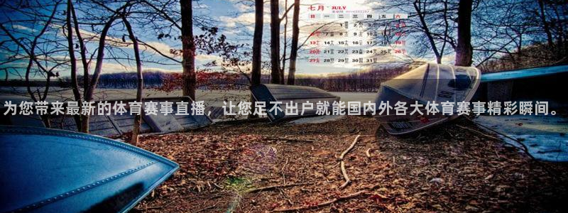 鲸鱼体育nba直播在线观看免费：为您带来最新的体育赛事直播，让您足不出户就能国内外各大体育赛事精彩瞬间。