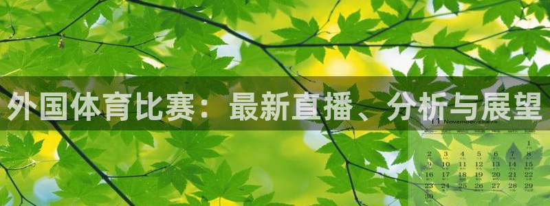 鲸鱼体育直播app：外国体育比赛：最新直播、分析与展望